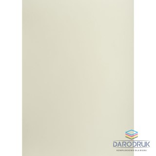 TOP-2000 Brystol A1 jasnoszary 160g 25k [mm:] 610x860 TOP-2000 (400149522)