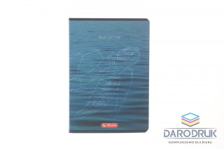 Herlitz Zeszyt A5 mix 2 60k. 70g kratka Herlitz (400206343)