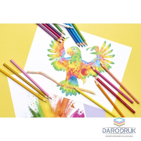 Faber Castell Kredki ołówkowe Ergonomics 12 kol. Faber Castell (116512 FC)