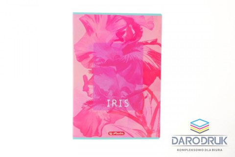 Herlitz Zeszyt A4 Blossom 60k. 70g kratka Herlitz (400206432)