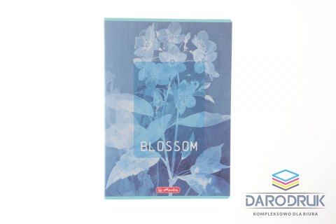 Herlitz Zeszyt A4 Blossom 60k. 70g kratka Herlitz (400206432)