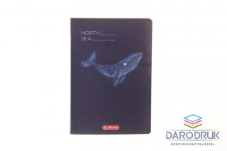 Herlitz Zeszyt A5 mix 3 60k. 70g kratka Herlitz (400206346)