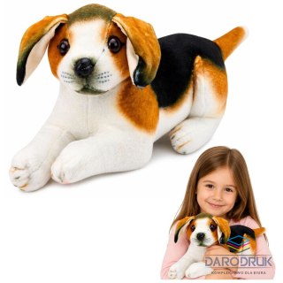 Best Way Pluszak Piesek Beagle [mm:] 250 Best Way (28884)