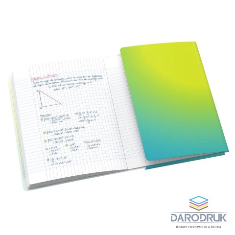 Herlitz Zeszyt A5 EASYBOOK FUSION 60k. 90g linia Herlitz (400208072)
