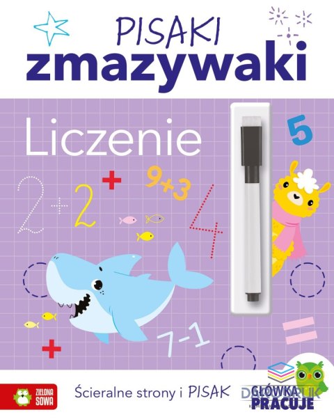 Zielona Sowa Książka dla dzieci Pisaki zmazywaki. Liczenie Zielona Sowa