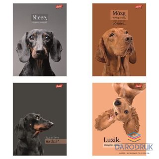 Unipap Zeszyt A5 Doggy Moods 60k. 70g krata Unipap