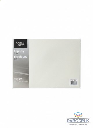 Galeria Papieru Koperta C5 Pearl srebrna jasna srebrny Galeria Papieru (280640) 10 sztuk