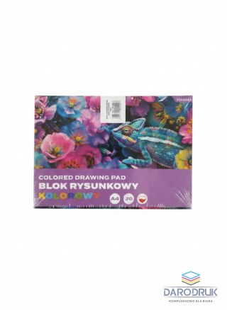 Starpak Blok rysunkowy A4 mix 20k Starpak (587749)