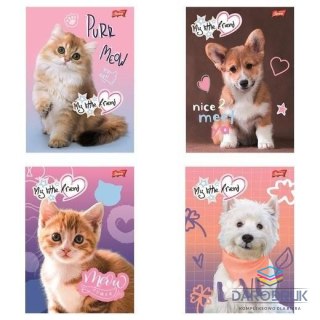 Unipap Zeszyt A5 Little Friend 16k. 70g krata Unipap