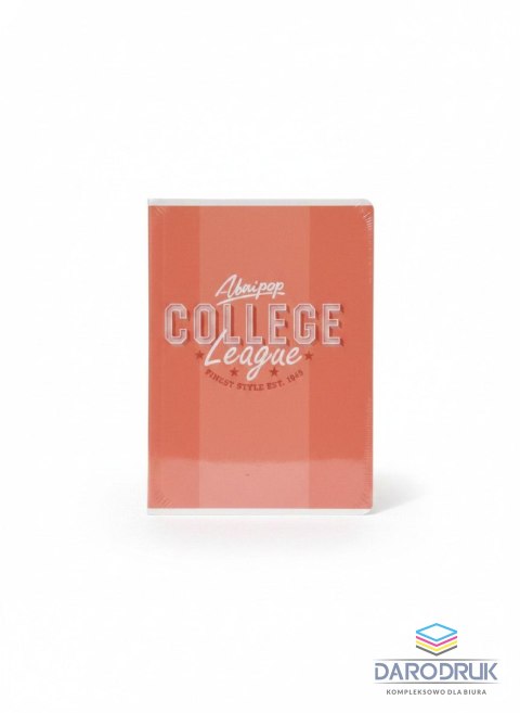 Unipap Zeszyt A5 COLLEGE DAILY 60k. 90g krata Unipap