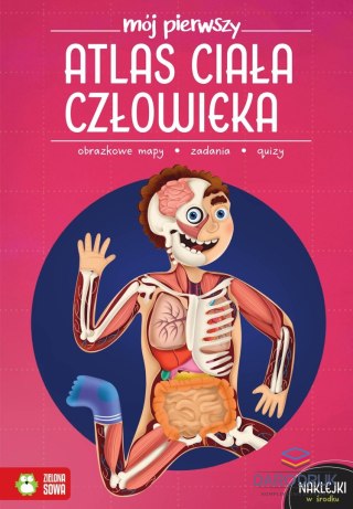 Zielona Sowa Książka dla dzieci Mój pierwszy atlas ciała człowieka Zielona Sowa
