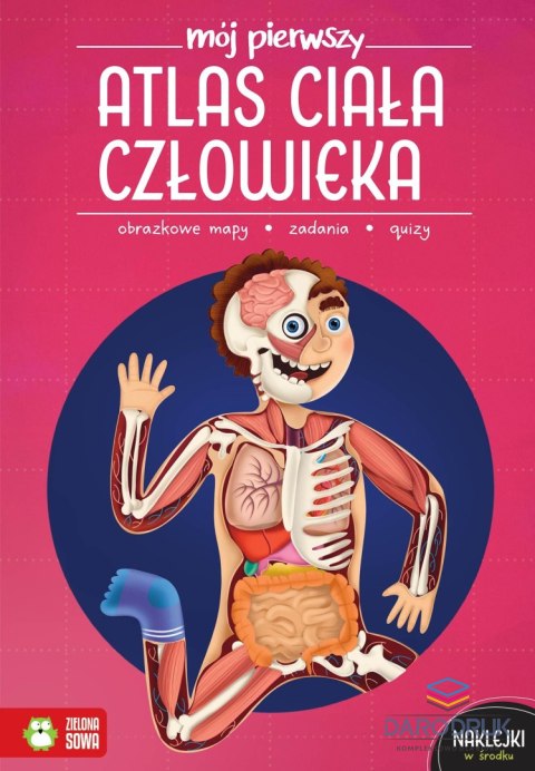 Zielona Sowa Książka dla dzieci Mój pierwszy atlas ciała człowieka Zielona Sowa