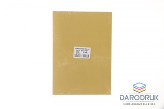 Protos Papier kolorowy A4 złoty 20k. 110g Protos