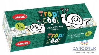 Rexus Farby plakatowe TROPICOOL kolor: mix 20ml 12 kolor. Rexus