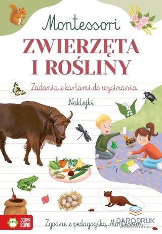 Zielona Sowa Książka dla dzieci Montessori. Zwierzęta i rośliny Zielona Sowa