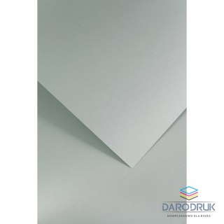 Galeria Papieru Papier ozdobny (wizytówkowy) A4 gładki jasnoszary satynowany szary 210g Galeria Papieru (205504)