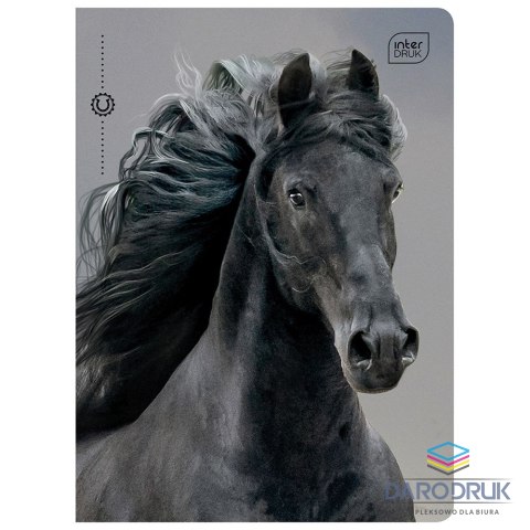 Interdruk Zeszyt A5 32k. 70g linia Interdruk (ZE60#405B)