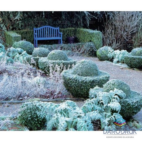 Lucrum Kalendarz ścienny OGRODY RAJSKIE 13-planszowe 320mm x 470mm Lucrum (RW12)