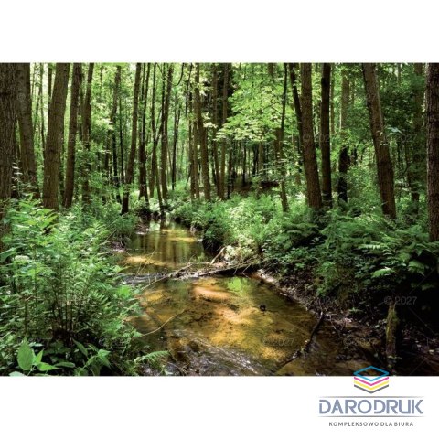 Lucrum Kalendarz ścienny RODZINNY Pejzaże Polski 13-KARTKOWY 280mm x 200mm Lucrum (WL3)