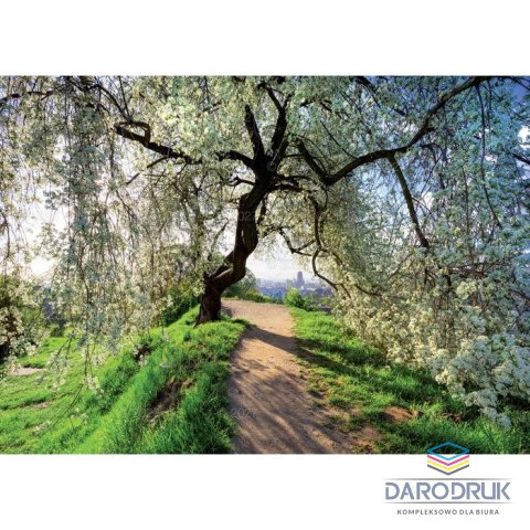 Lucrum Kalendarz ścienny RODZINNY Pejzaże Polski 13-KARTKOWY 280mm x 200mm Lucrum (WL3)