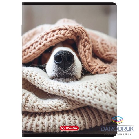Herlitz Zeszyt A5 mix 80k. 70g kratka Herlitz (400206357)