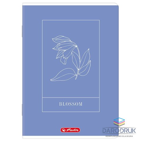 Herlitz Zeszyt A5 mix 80k. 70g kratka Herlitz (400206357)