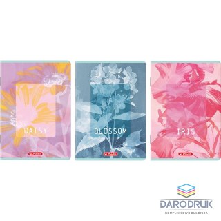 Herlitz Zeszyt B5 Blossom 80k. 70g kratka Herlitz (400206169)