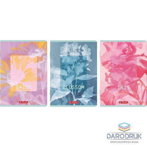 Herlitz Zeszyt B5 Blossom 80k. 70g kratka Herlitz (400206169)