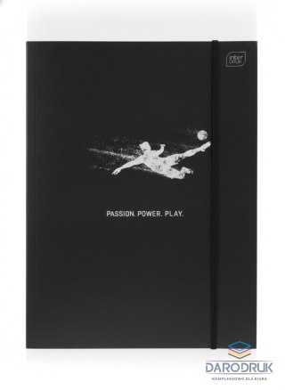 Interdruk Teczka kartonowa METALIC SPORT Interdruk (A4+)