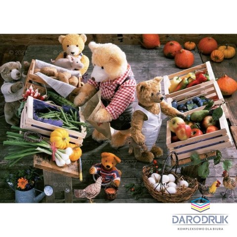 Lucrum Kalendarz ścienny MISIE 13-planszowe 320mm x 470mm Lucrum (RW11)