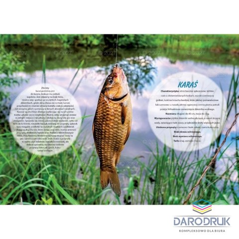 Lucrum Kalendarz ścienny WĘDKARSKI 13-planszowe 320mm x 470mm Lucrum (RW14)