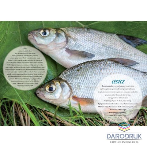 Lucrum Kalendarz ścienny WĘDKARSKI 13-planszowe 320mm x 470mm Lucrum (RW14)