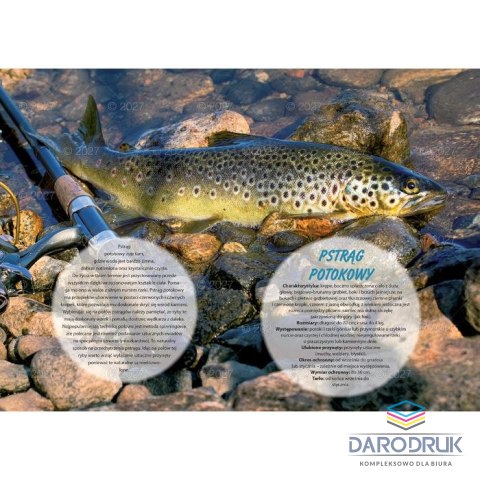 Lucrum Kalendarz ścienny WĘDKARSKI 13-planszowe 320mm x 470mm Lucrum (RW14)