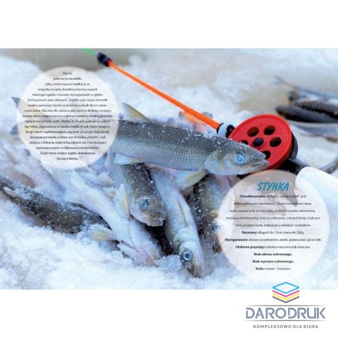 Lucrum Kalendarz ścienny WĘDKARSKI 13-planszowe 320mm x 470mm Lucrum (RW14)
