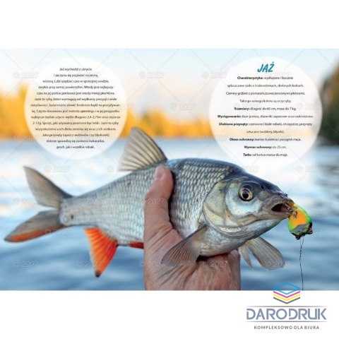 Lucrum Kalendarz ścienny WĘDKARSKI 13-planszowe 320mm x 470mm Lucrum (RW14)
