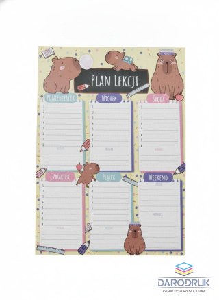 Henry Plan lekcji KAPIBARY Henry (5908451982980)