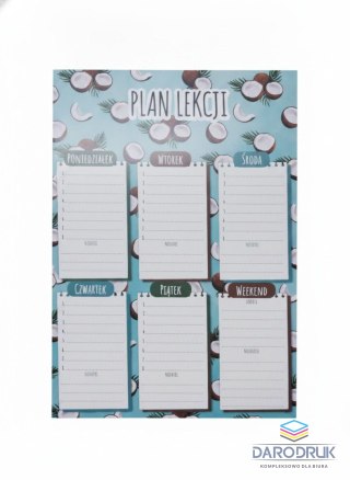 Henry Plan lekcji Kokos Henry (5908451985202)