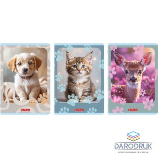 Herlitz Zeszyt A4 Animals 32k. 70g kratka Herlitz (400206430)