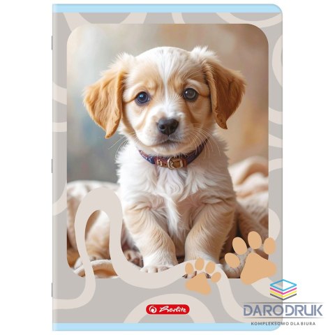 Herlitz Zeszyt A4 Animals 32k. 70g kratka Herlitz (400206430)