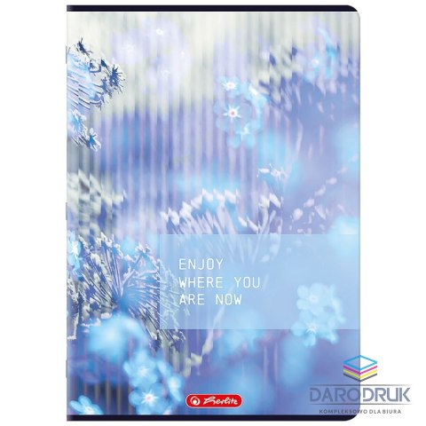 Herlitz Zeszyt A4 mix 96k. 70g kratka Herlitz (400206368)