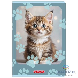 Herlitz Zeszyt A5 Animals 32k. 70g linia podwójna Herlitz (400206382)