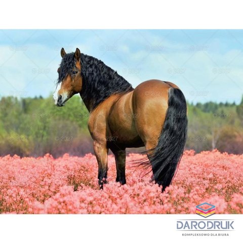 Lucrum Kalendarz ścienny KONIE WOBIEKTYWIE 13-planszowe 320mm x 470mm Lucrum (RW14)