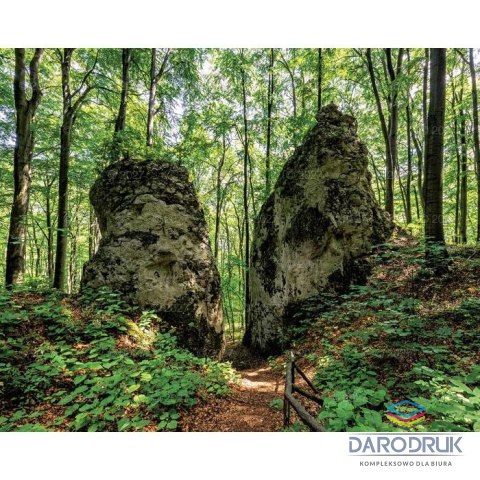 Lucrum Kalendarz ścienny LASY POLSKIE 13-planszowe A3+ 320mm x 470mm Lucrum (RW06)