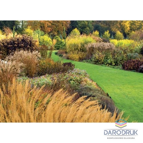 Lucrum Kalendarz ścienny OGRÓDKI PRZYDOMOWE 13-planszowe 320mm x 470mm Lucrum (RW13)