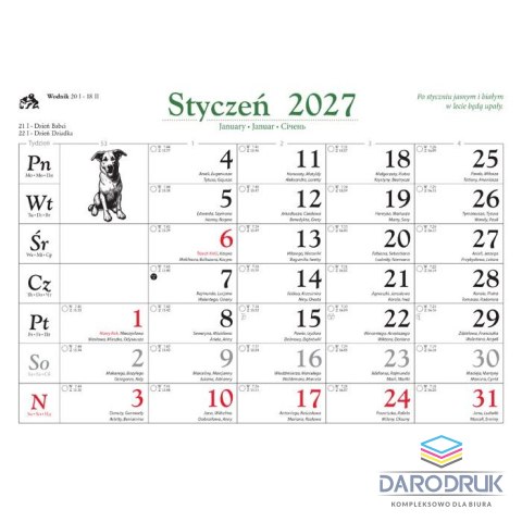Lucrum Kalendarz ścienny PSY I PIESKI 13-planszowe 320mm x 470mm Lucrum (RW8)