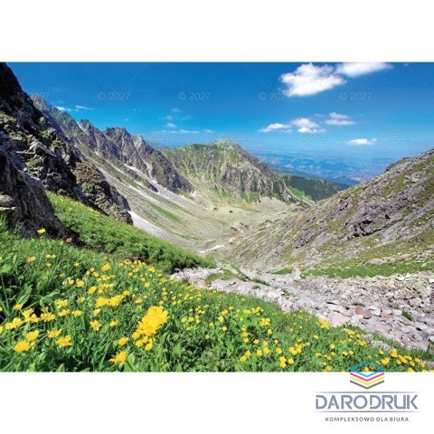 Lucrum Kalendarz ścienny RODZINNY TATRY i PODHALE 13-KARTKOWY 280mm x 200mm Lucrum (WL4)