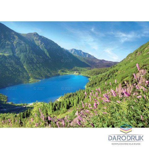 Lucrum Kalendarz ścienny RODZINNY TATRY i PODHALE 13-KARTKOWY 280mm x 200mm Lucrum (WL4)