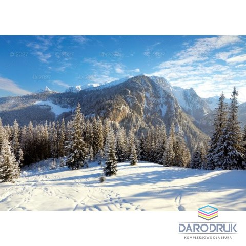 Lucrum Kalendarz ścienny RODZINNY TATRY i PODHALE 13-KARTKOWY 280mm x 200mm Lucrum (WL4)