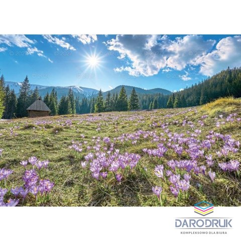 Lucrum Kalendarz ścienny RODZINNY TATRY i PODHALE 13-KARTKOWY 280mm x 200mm Lucrum (WL4)