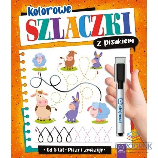 Aksjomat Książeczka edukacyjna Kolorowe szlaczki z pisakiem. Piszę i zmazuję od 5 lat Aksjomat